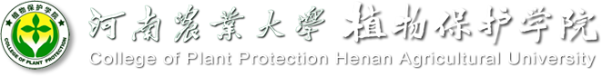 澳门新葡京娱乐城