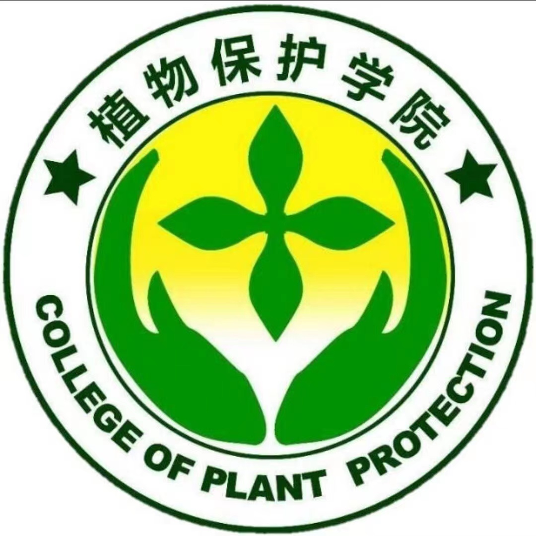 澳门新葡京娱乐城