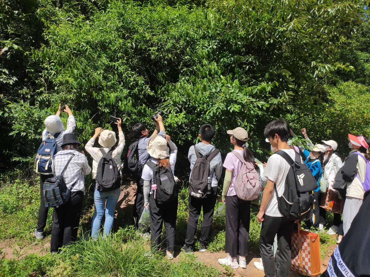 澳门新葡京娱乐城