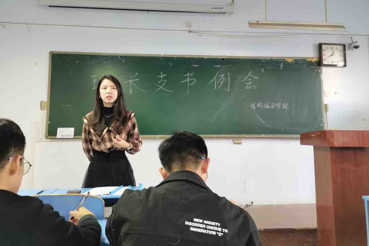 澳门新葡京娱乐城