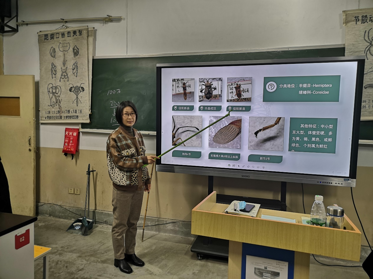 澳门新葡京娱乐城