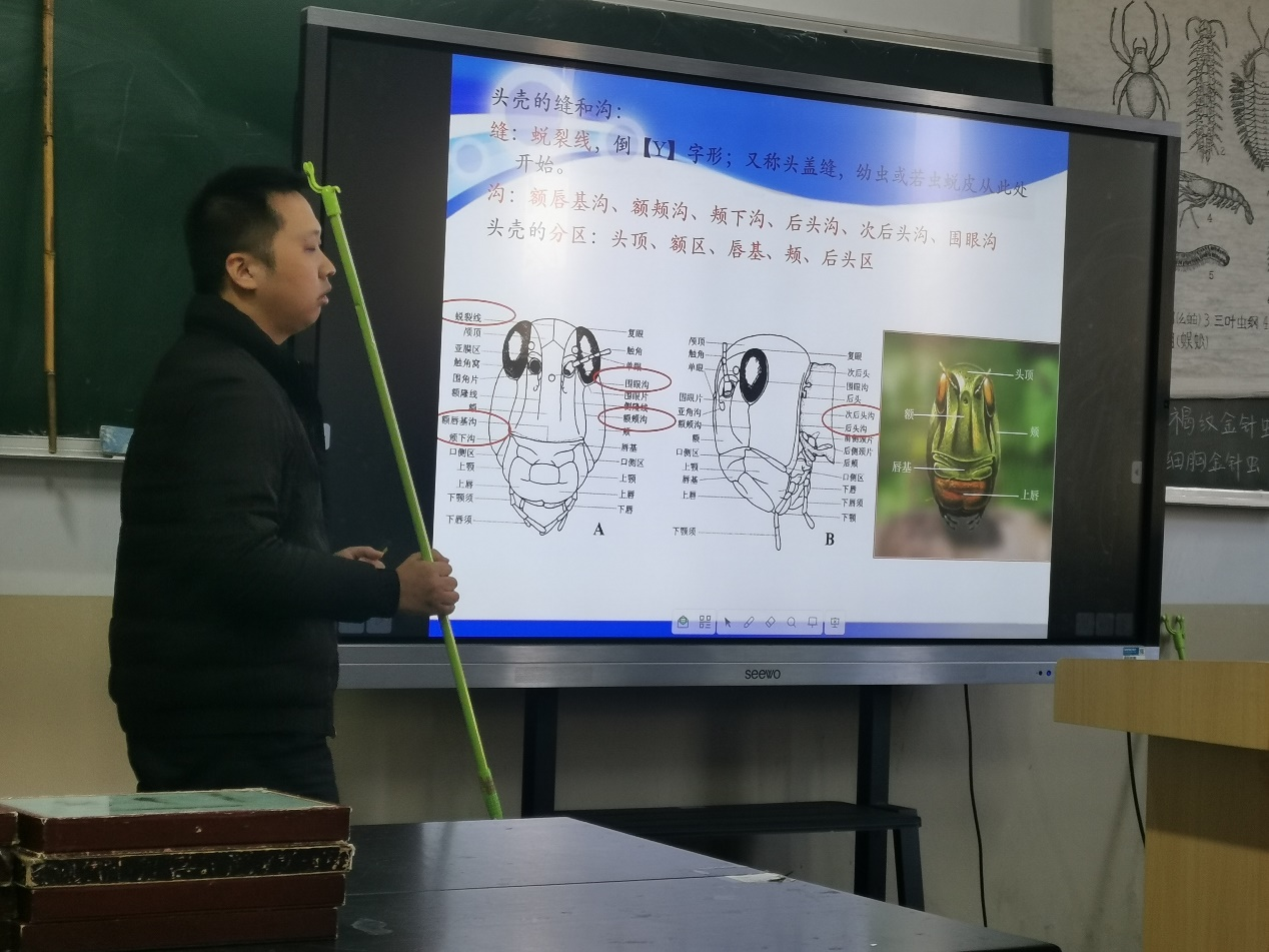 澳门新葡京娱乐城