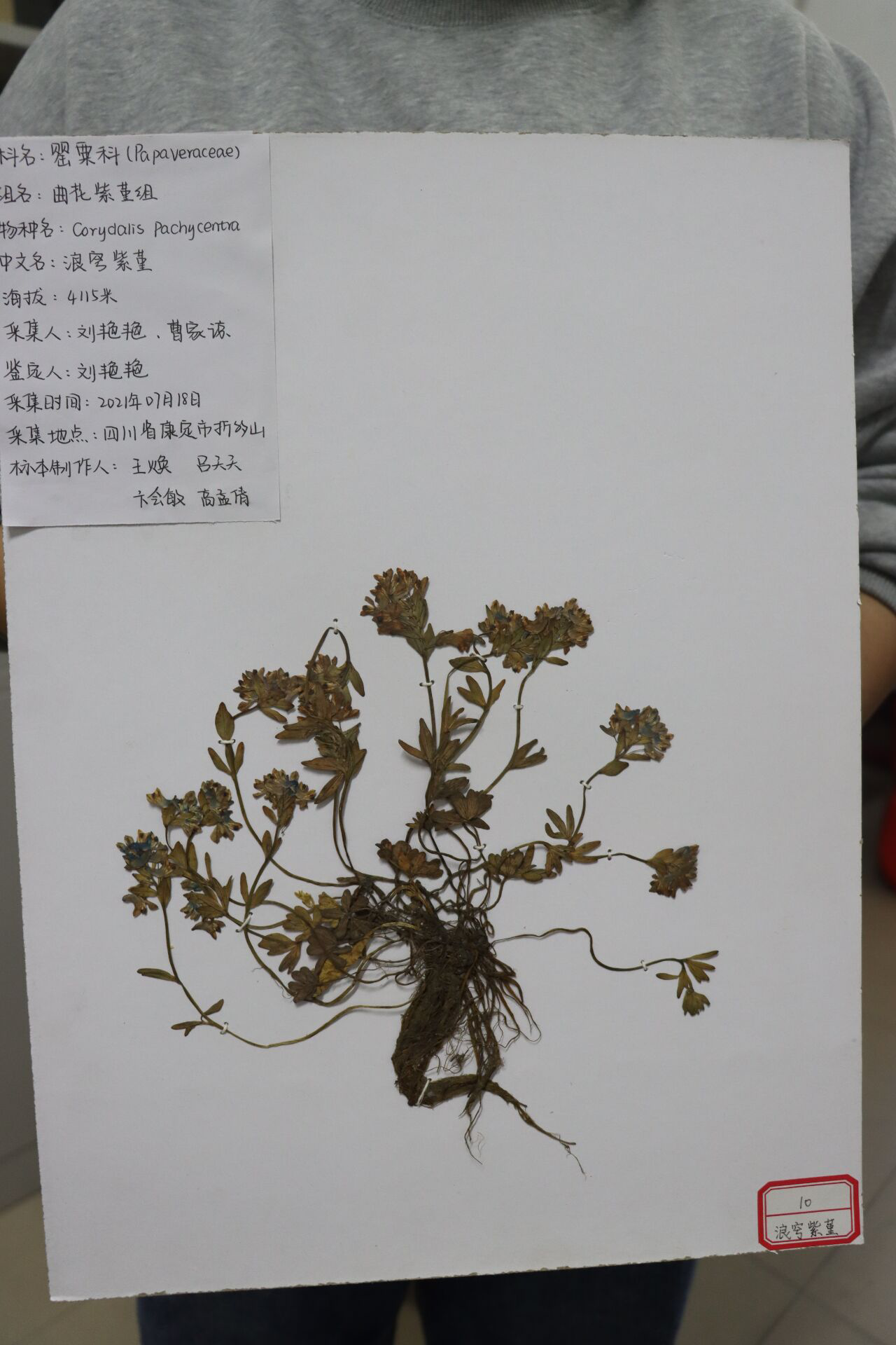 澳门新葡京娱乐城