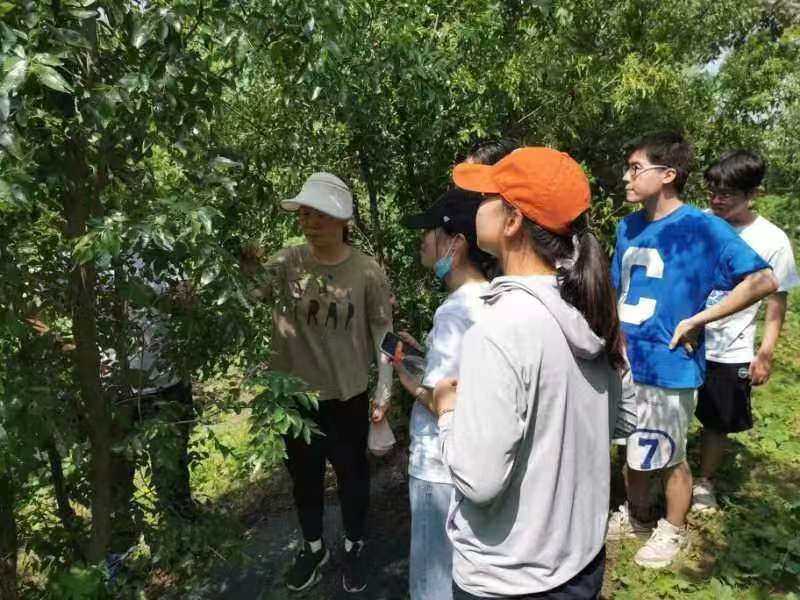 澳门新葡京娱乐城