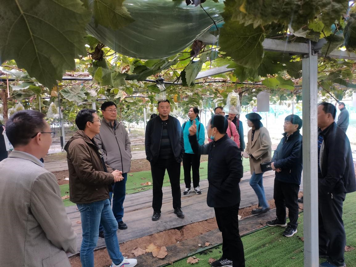 澳门新葡京娱乐城