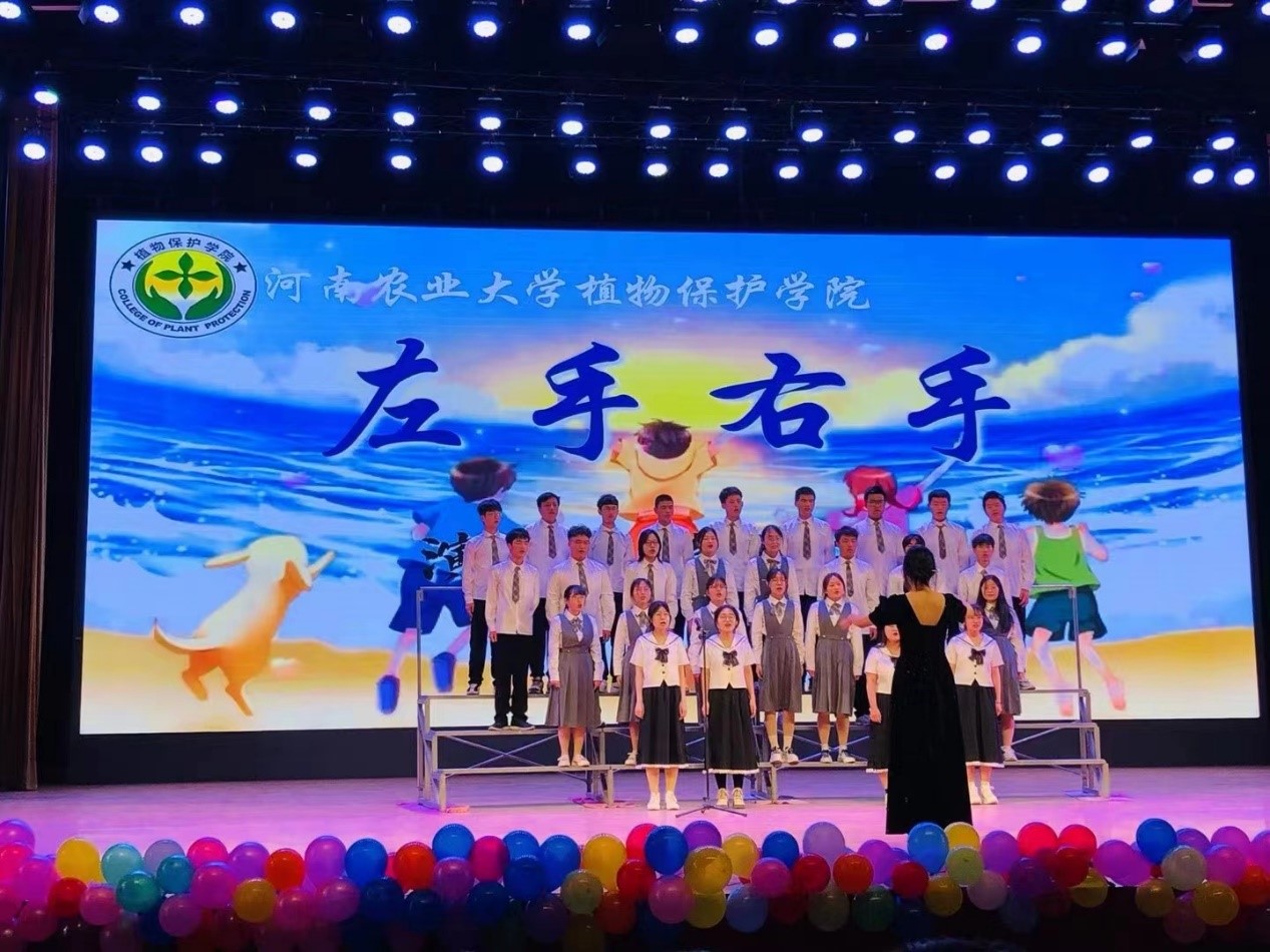 澳门新葡京娱乐城
