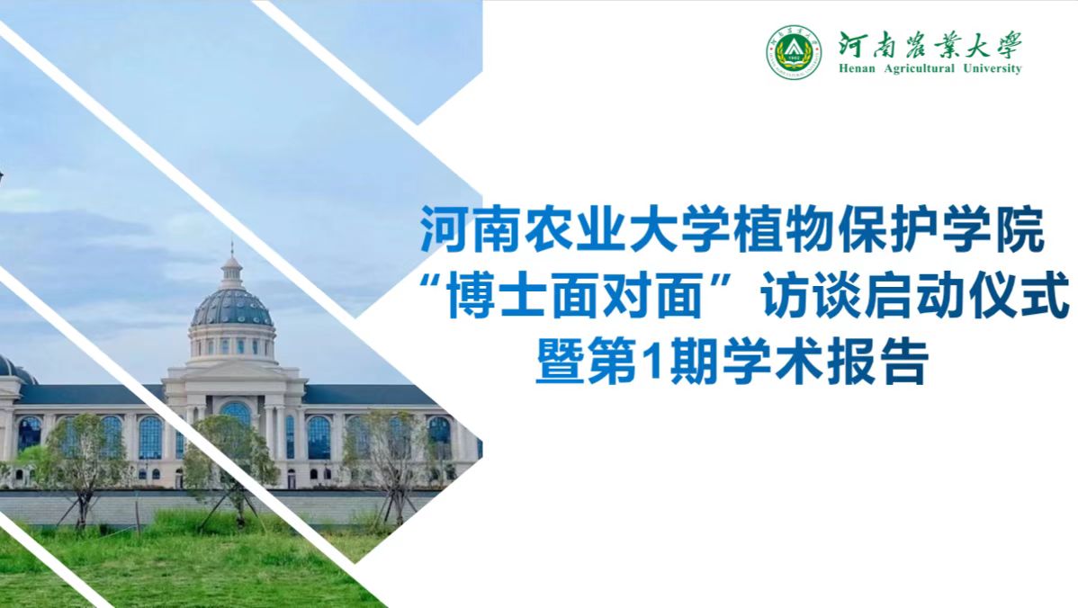 澳门新葡京娱乐城
