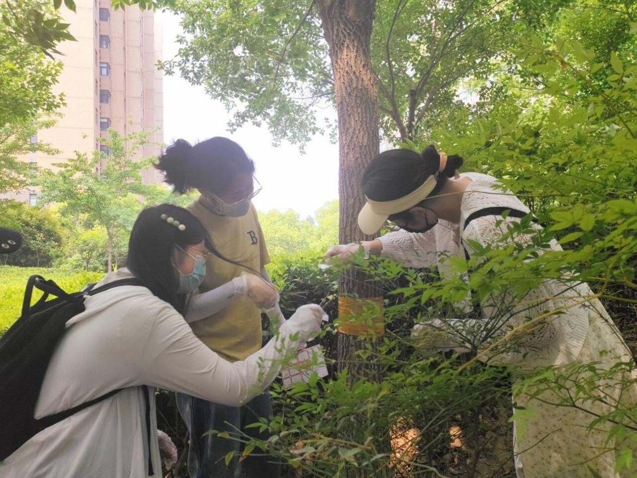 澳门新葡京娱乐城