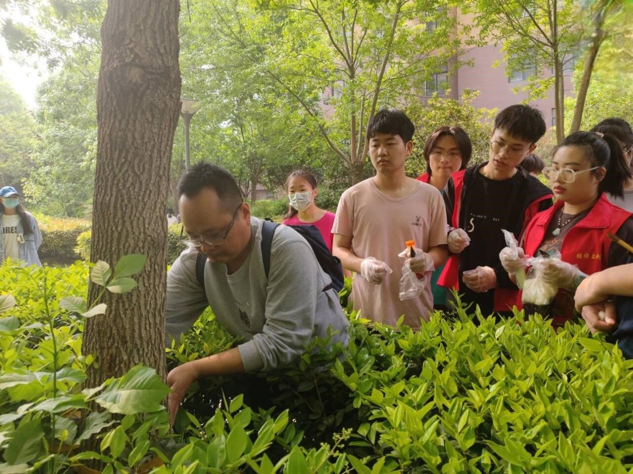 澳门新葡京娱乐城