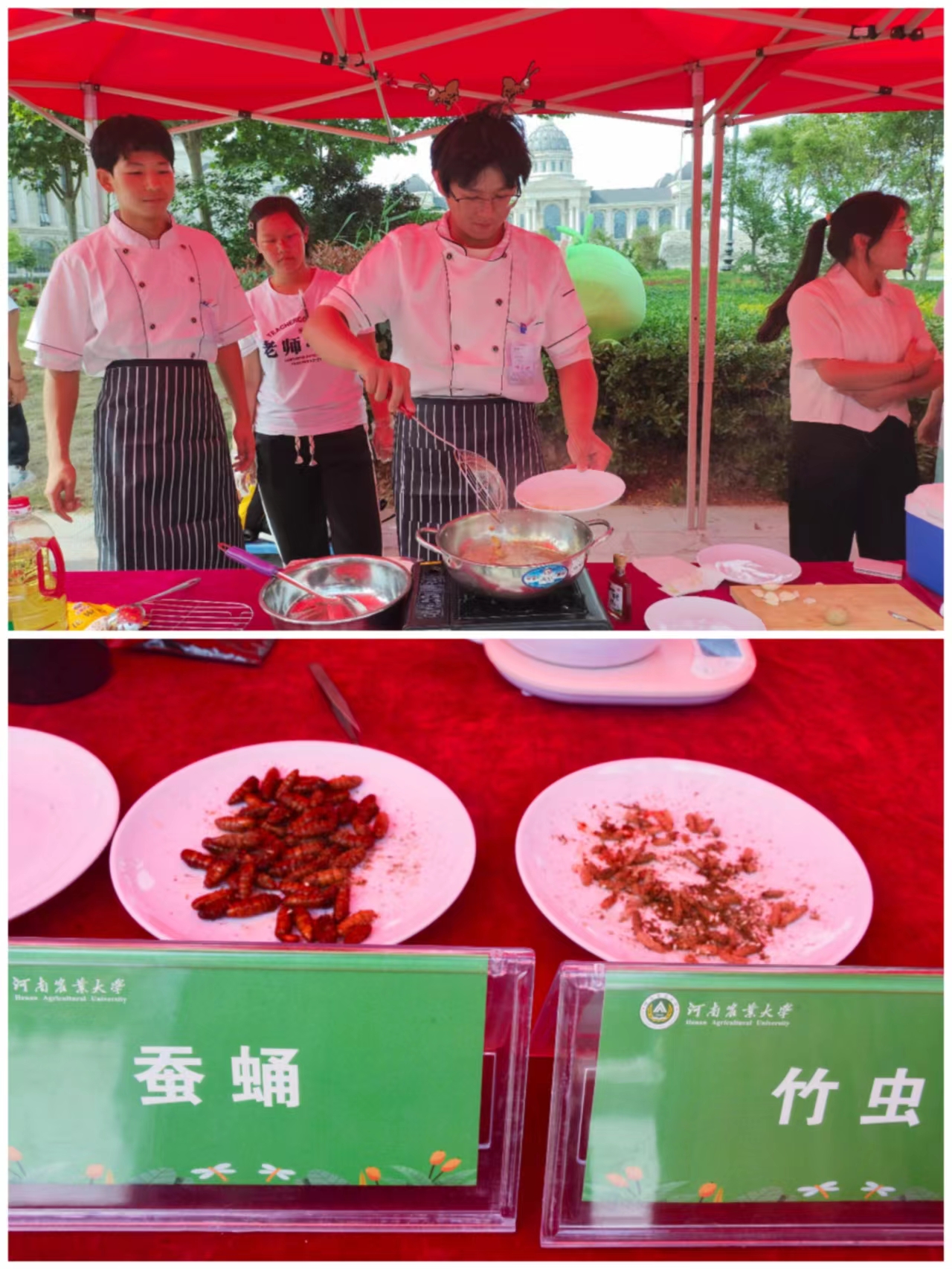 澳门新葡京娱乐城
