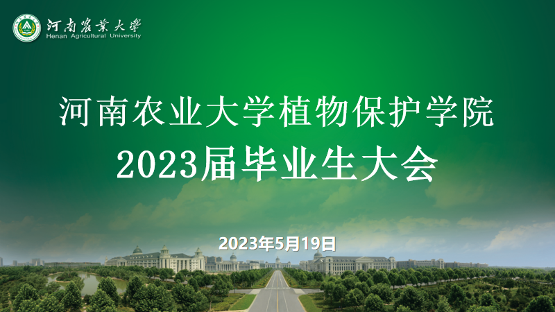 澳门新葡京娱乐城