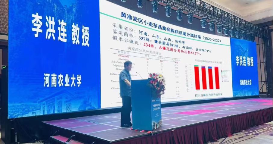 澳门新葡京娱乐城
