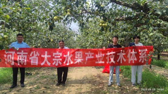 澳门新葡京娱乐城
