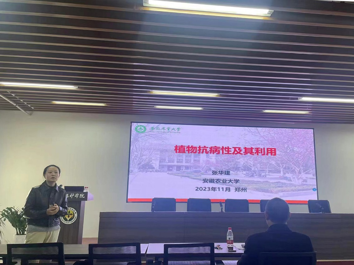澳门新葡京娱乐城