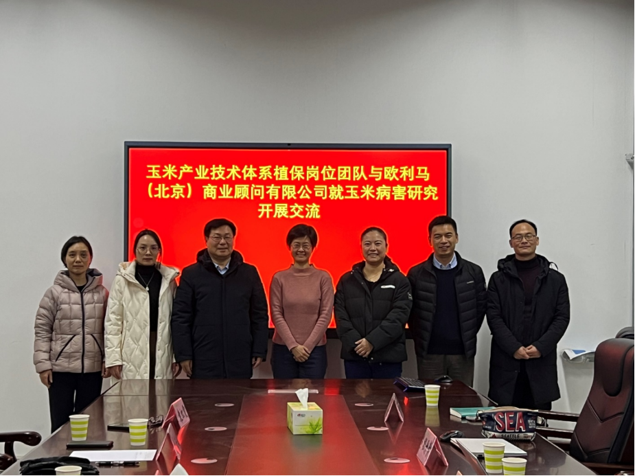 澳门新葡京娱乐城