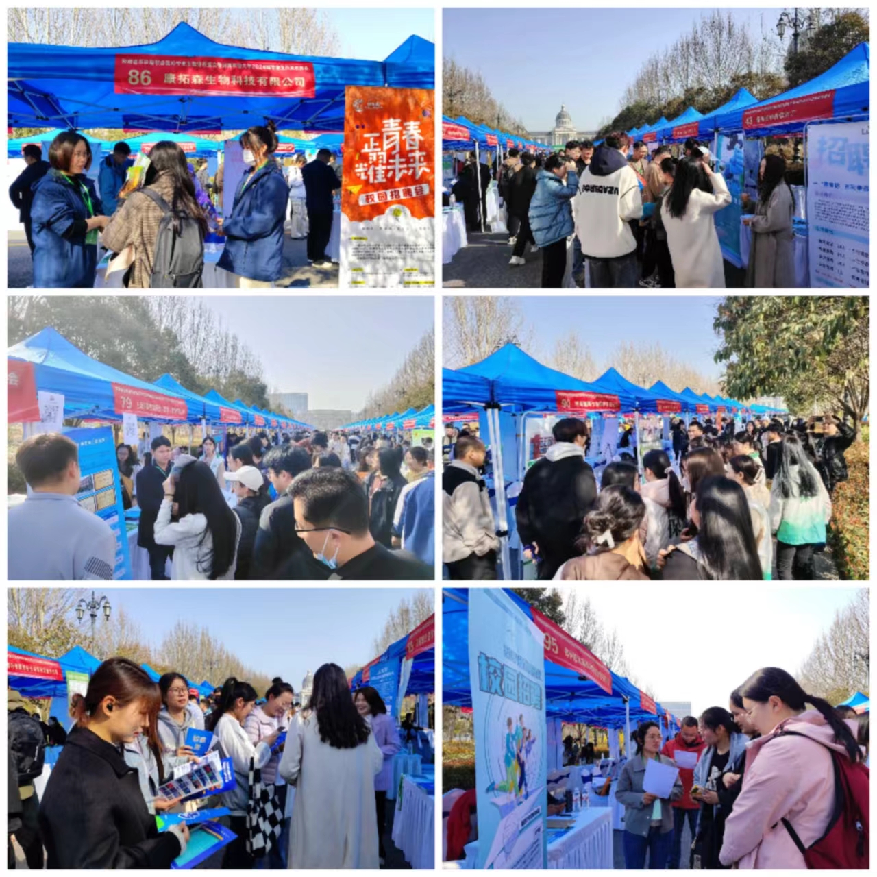 澳门新葡京娱乐城