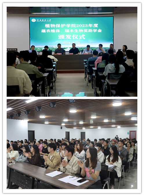 澳门新葡京娱乐城