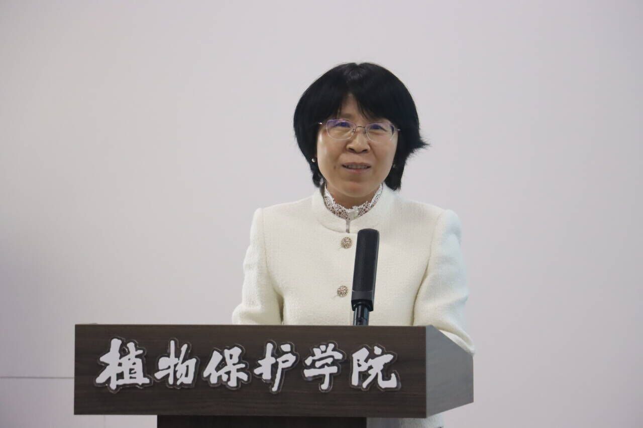 澳门新葡京娱乐城