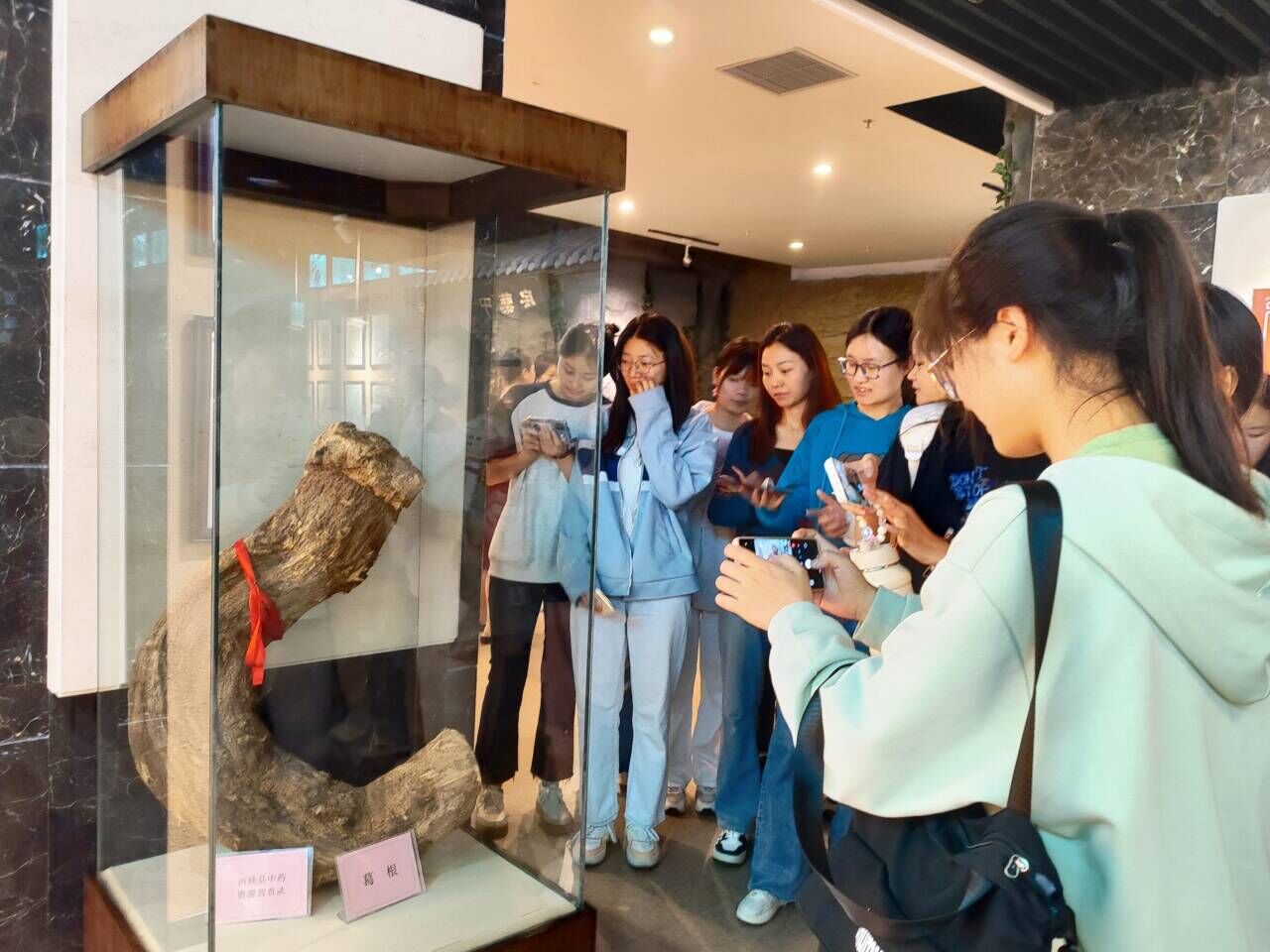 澳门新葡京娱乐城