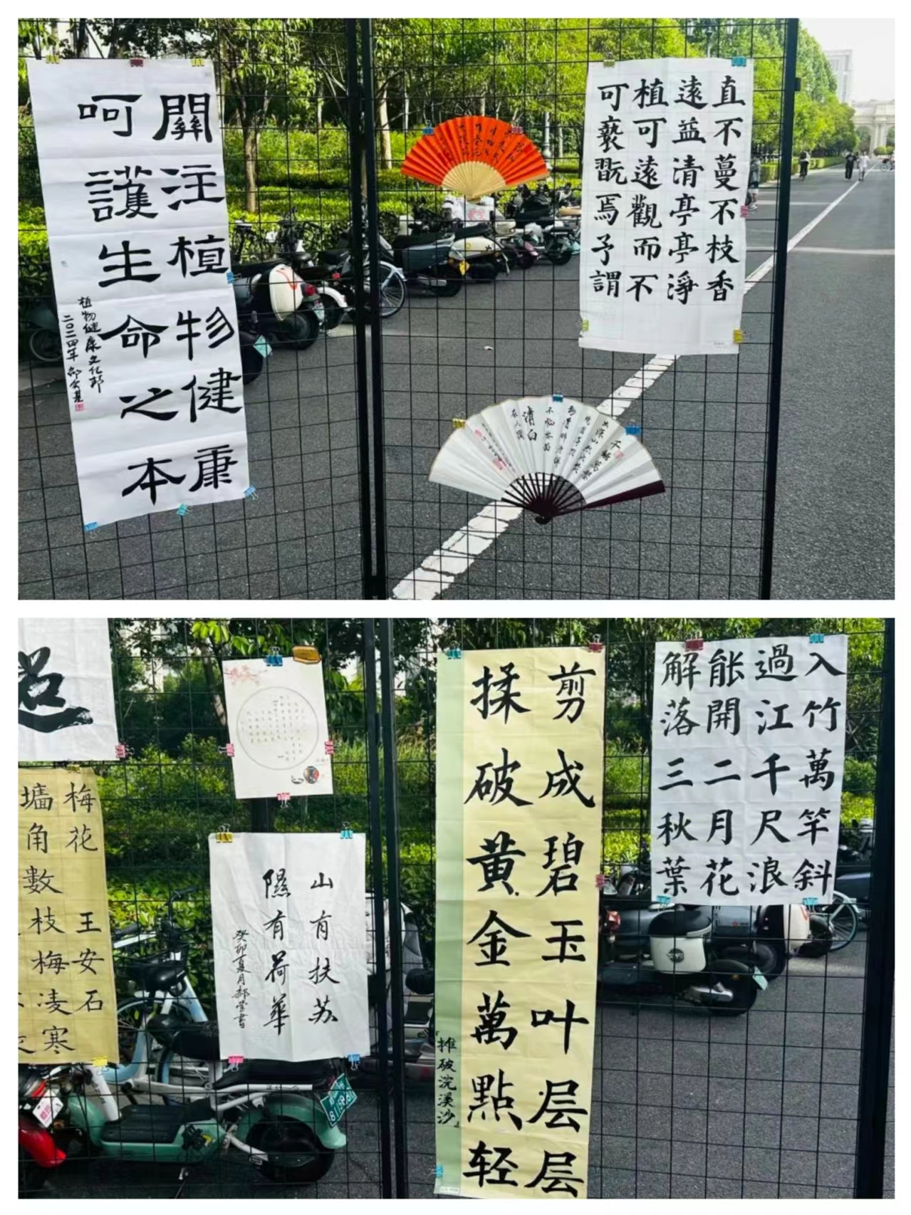 澳门新葡京娱乐城