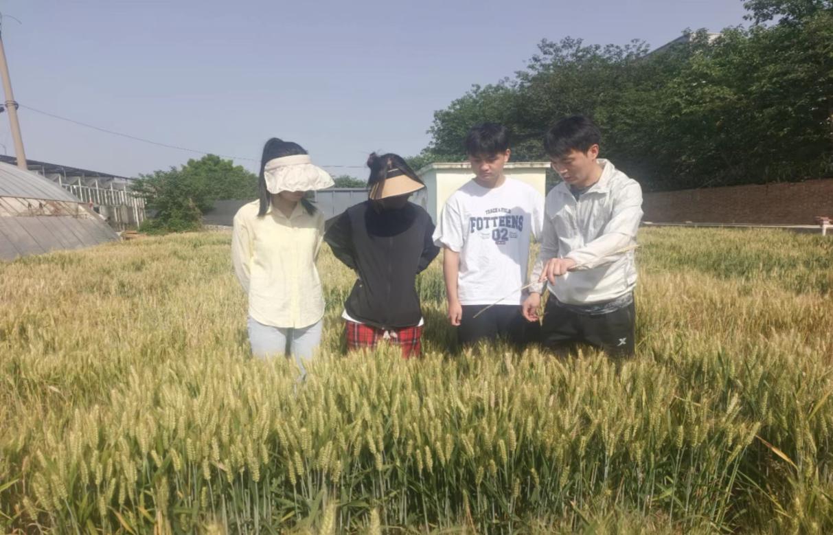 澳门新葡京娱乐城