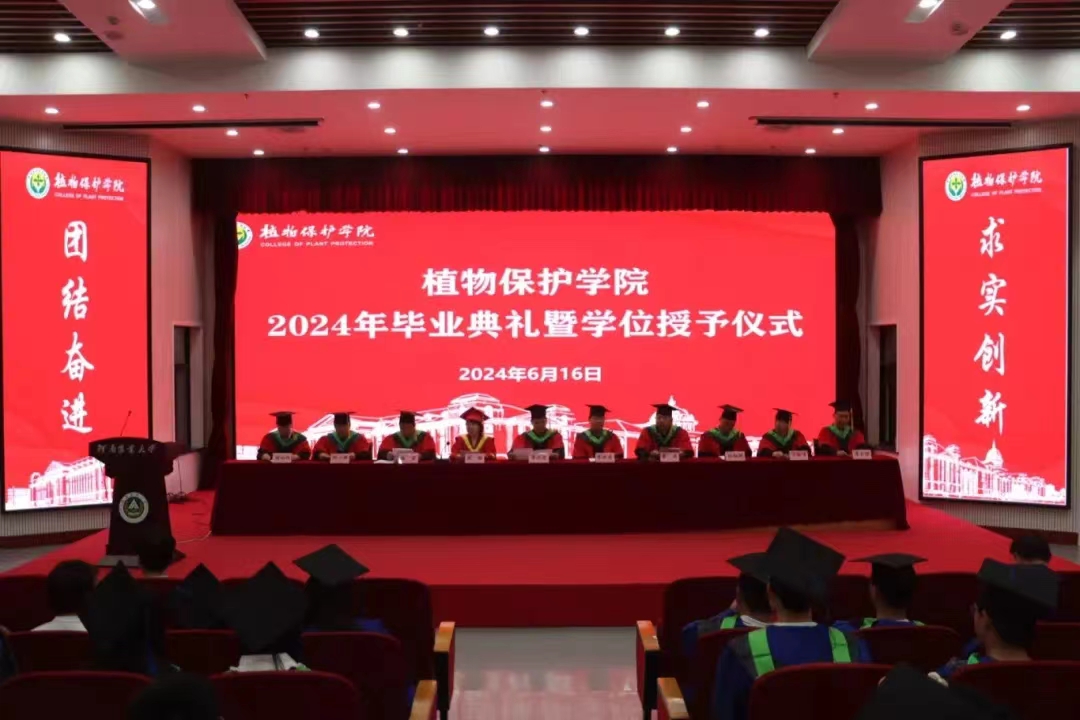 澳门新葡京娱乐城