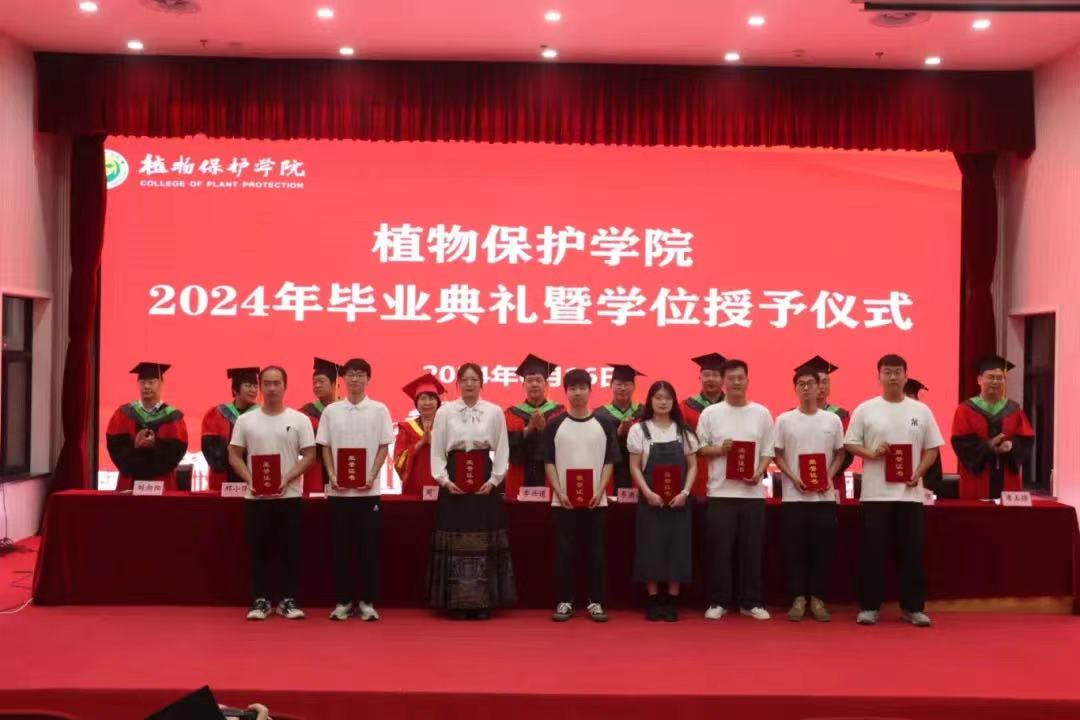 澳门新葡京娱乐城