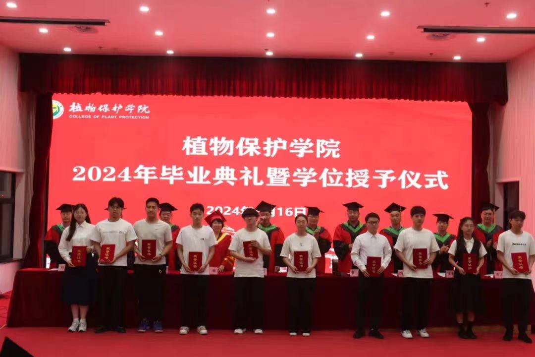 澳门新葡京娱乐城
