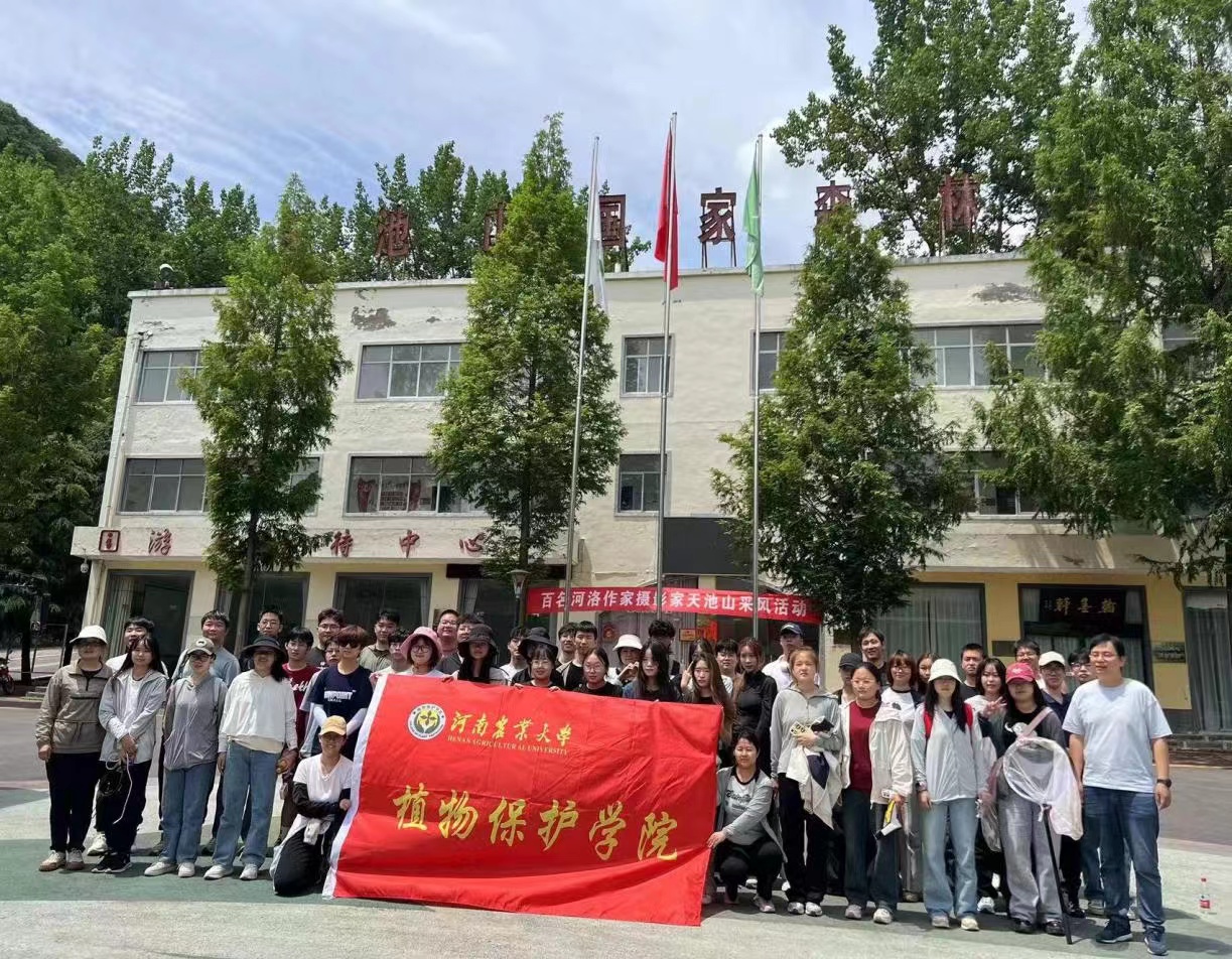 澳门新葡京娱乐城