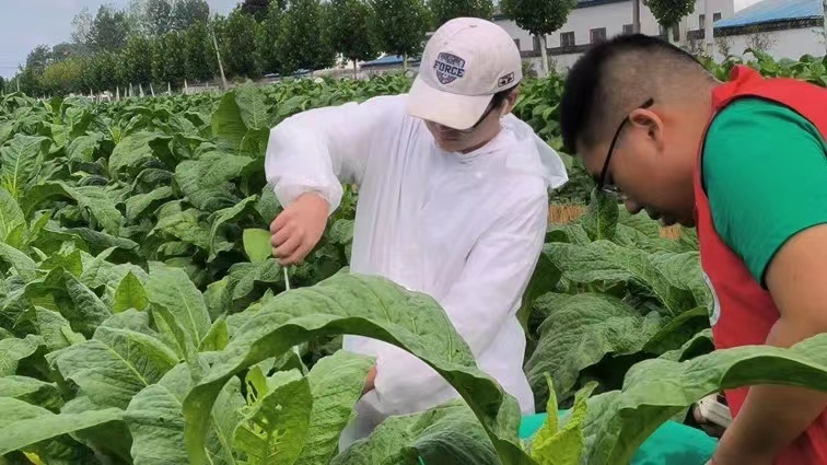 澳门新葡京娱乐城