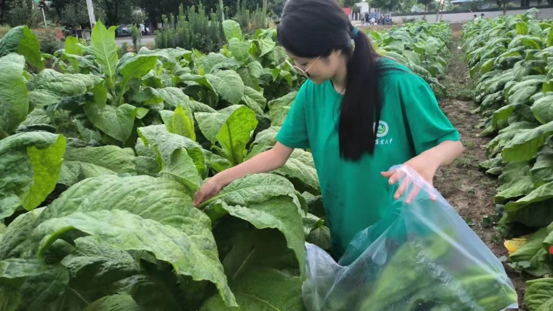澳门新葡京娱乐城