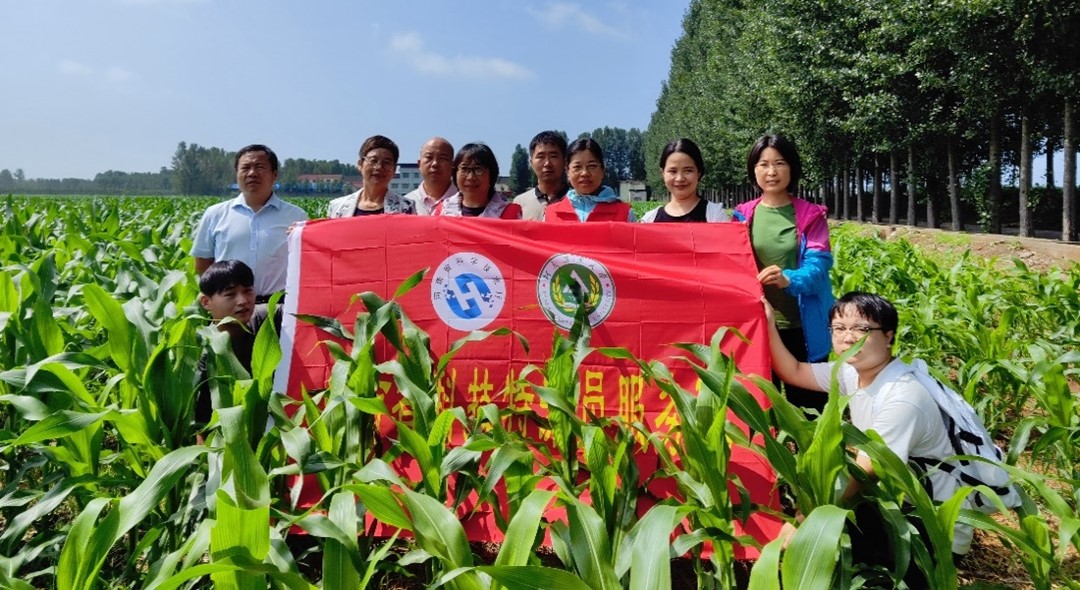 澳门新葡京娱乐城