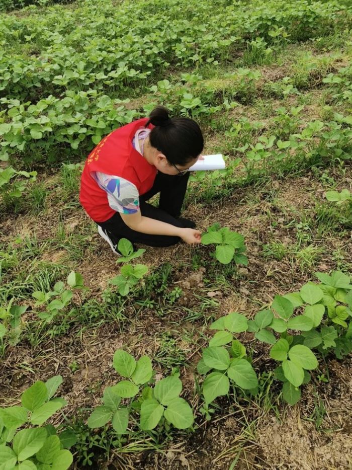 澳门新葡京娱乐城