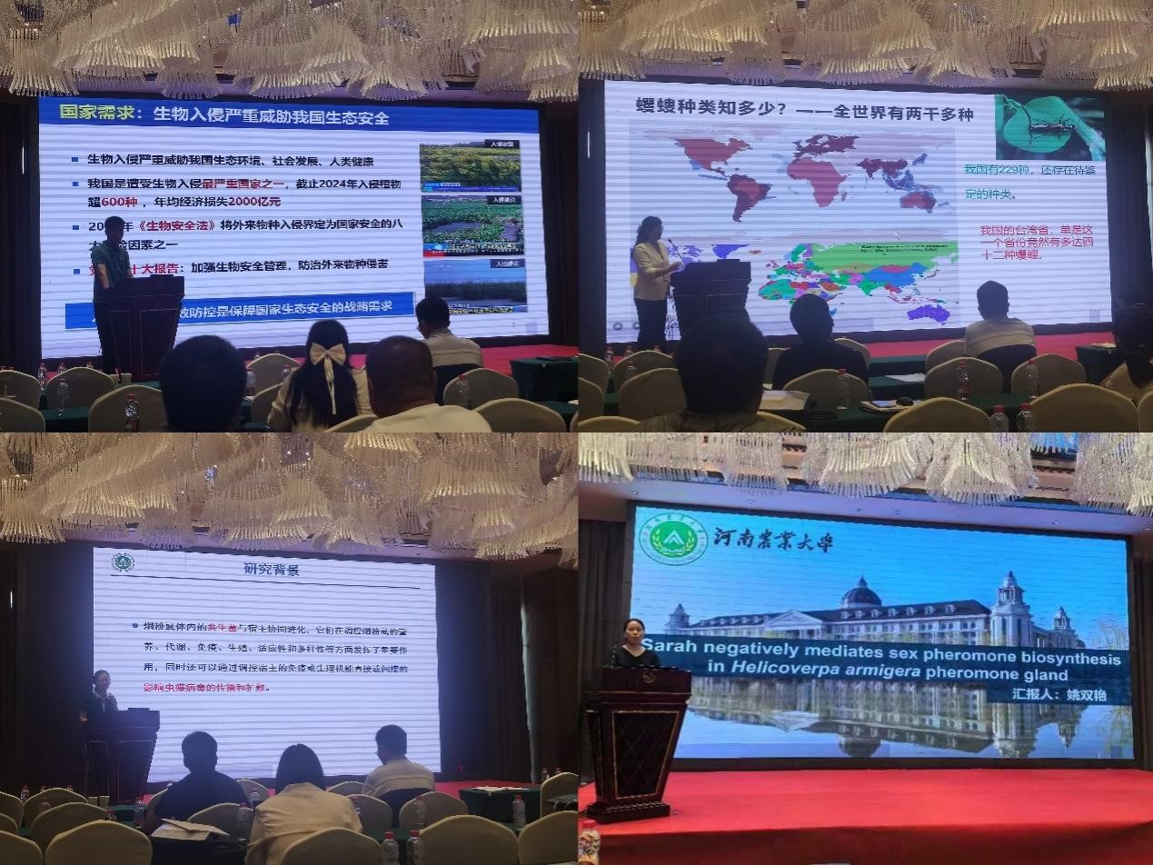 澳门新葡京娱乐城