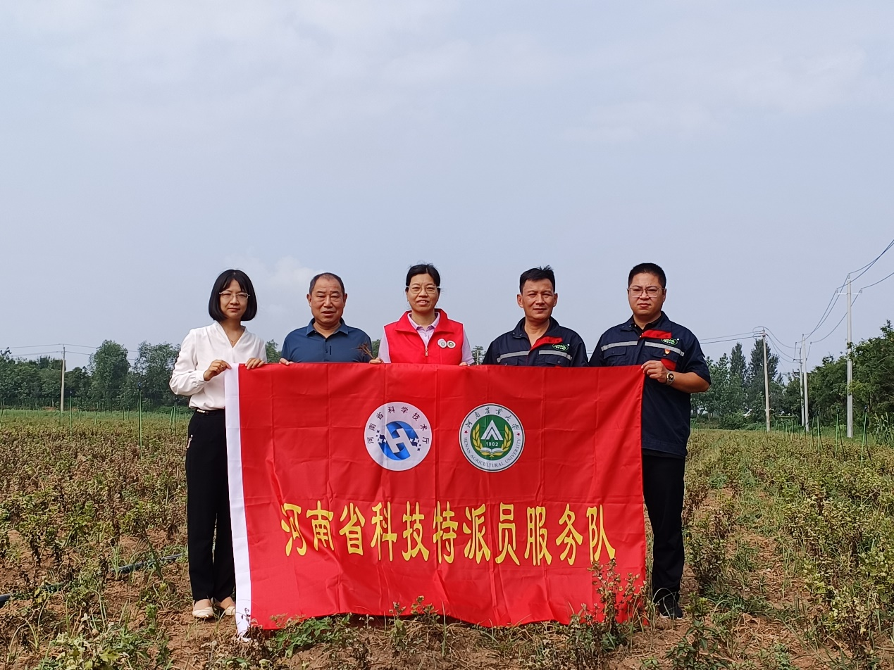 澳门新葡京娱乐城