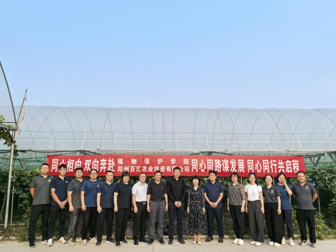 澳门新葡京娱乐城