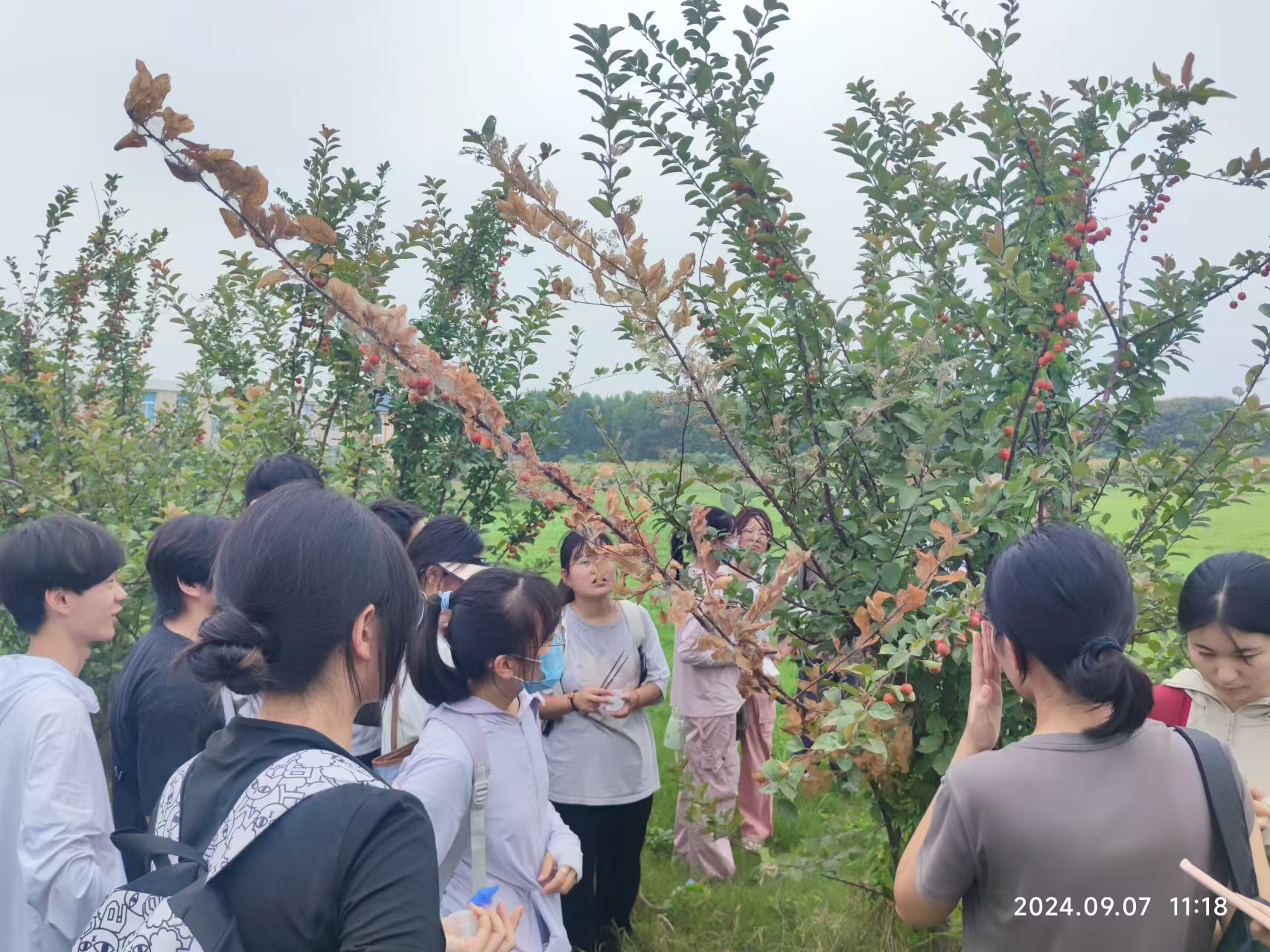 澳门新葡京娱乐城