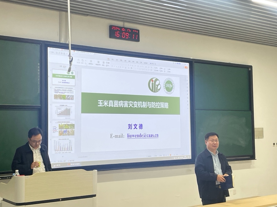 澳门新葡京娱乐城