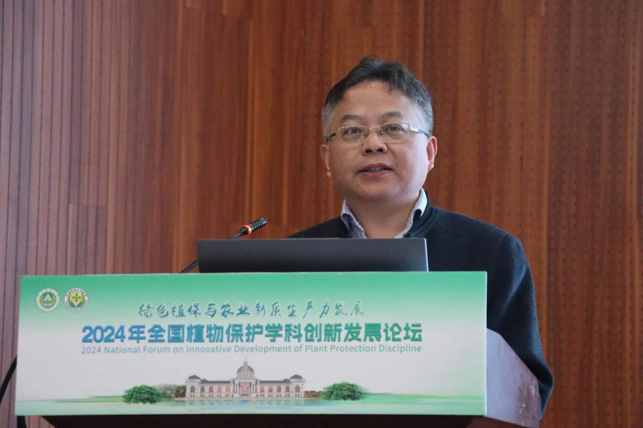 澳门新葡京娱乐城