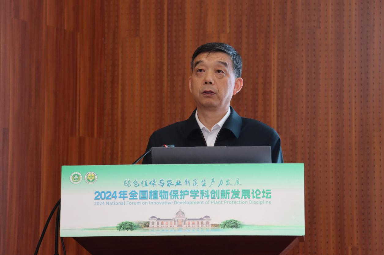 澳门新葡京娱乐城