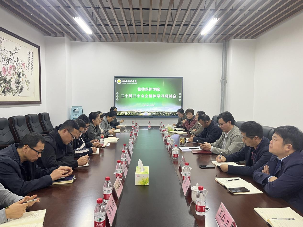 澳门新葡京娱乐城