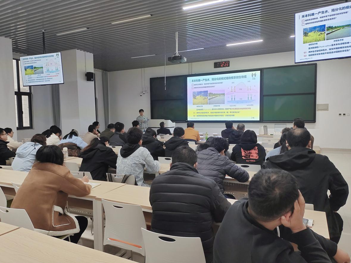 澳门新葡京娱乐城