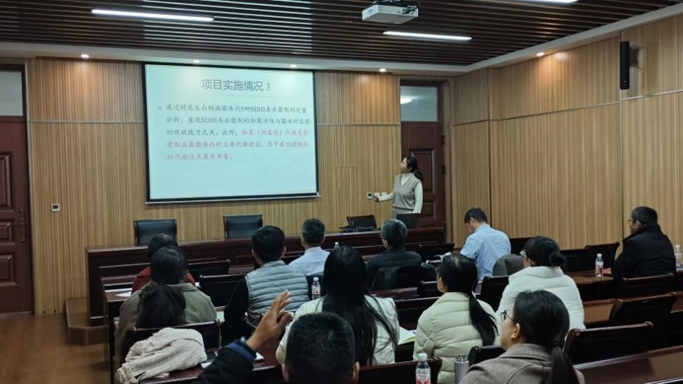澳门新葡京娱乐城