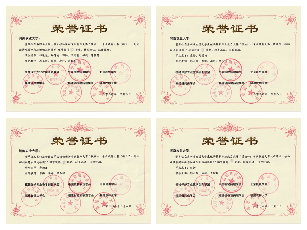 澳门新葡京娱乐城