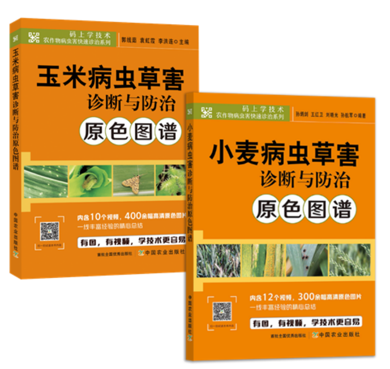 澳门新葡京娱乐城