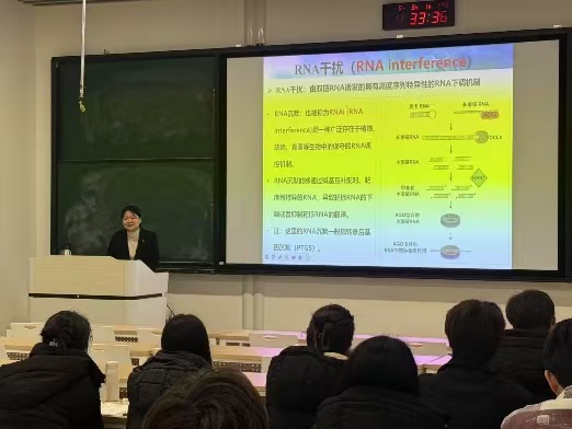 澳门新葡京娱乐城