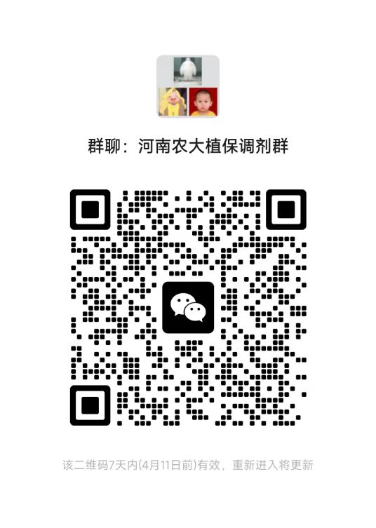 澳门新葡京娱乐城