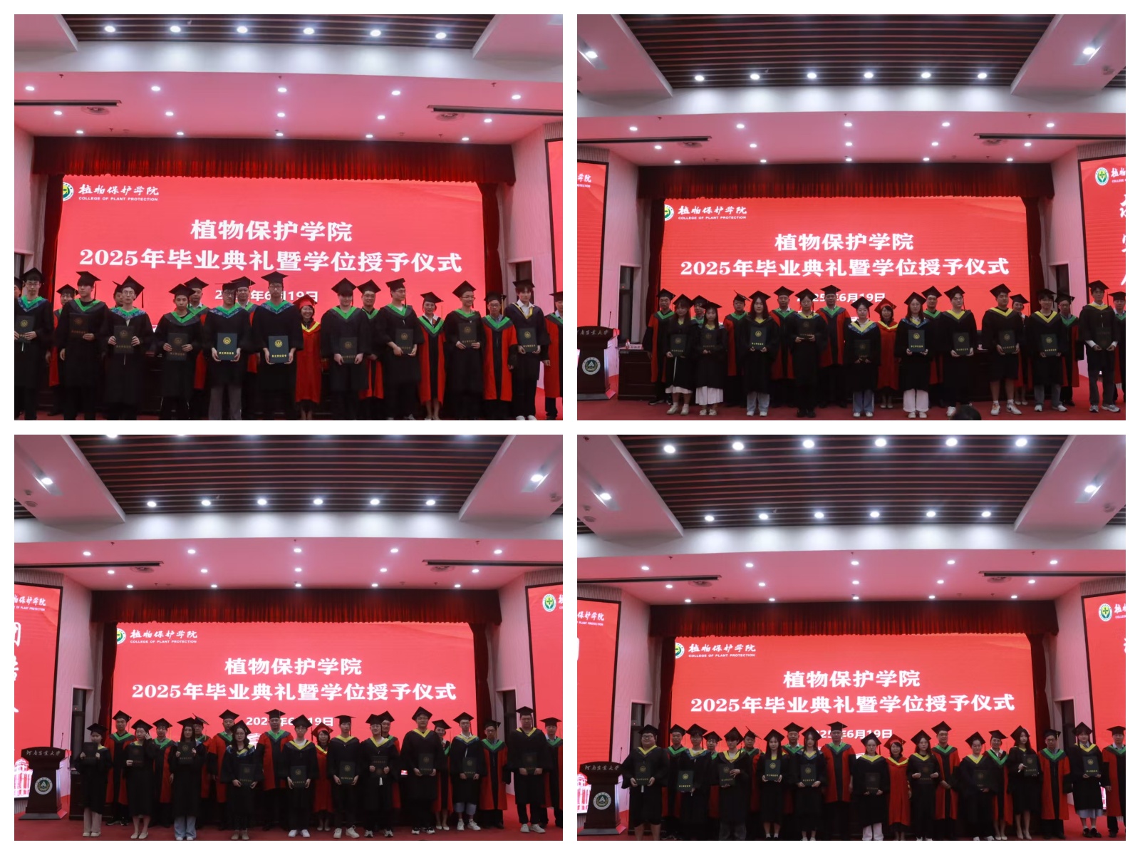 澳门新葡京娱乐城