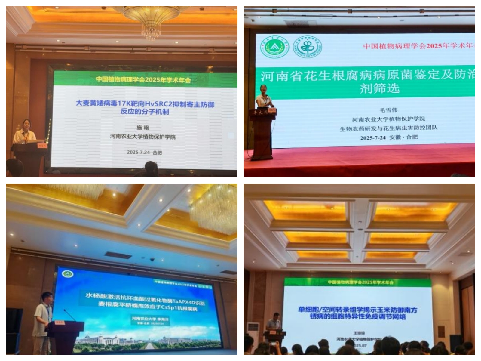 澳门新葡京娱乐城