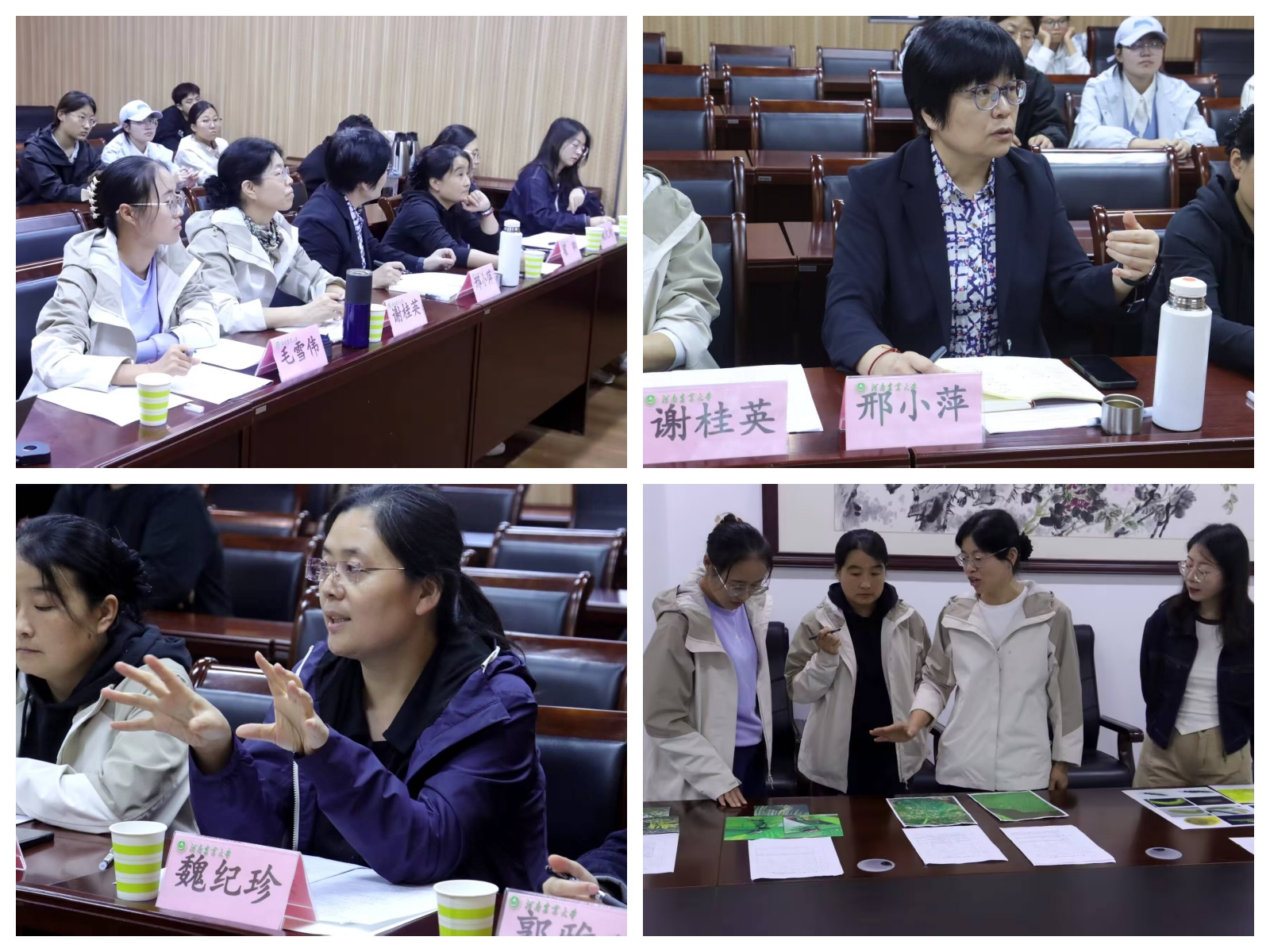 澳门新葡京娱乐城